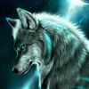 klfwolf66